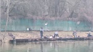 Голицыно Fish 2 апреля