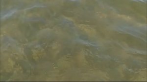 Дикий пляж Приморский ( краткая версия )