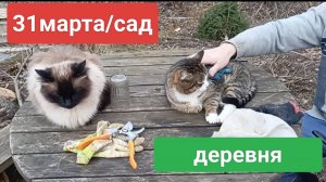 31марта/сад/деревня