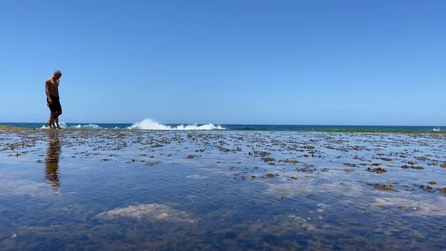 Sydney, Australia 4K 60fps - Mona Vale Beach Rockpool with Ocean Sounds | 호주 시드니 해수욕장 смотреть онлайн
