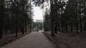 Прогулка 31 Марта 2025ч3