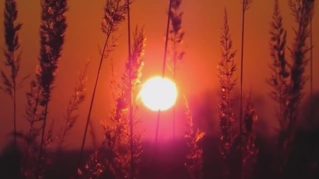 Vangelis - Rachel Song смотреть онлайн