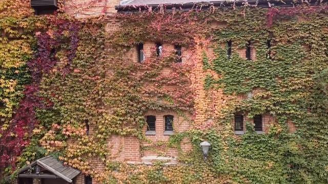 Замок Радомишль. Октябрь 2020 год смотреть онлайн