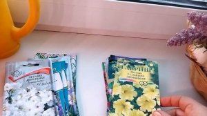 Розы под укрытиями. Сколько снега. Первые цветочные посадки. Какие цветы посеяла в январе 2023