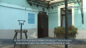 Иркутская область получила 40 тыс. доз вакцины против бешенства для диких животных