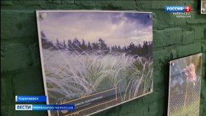 В КЧГУ прошло торжественное открытие обновленного корпуса естественно-географического факультета