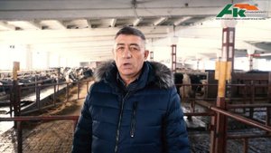 Переход на беспривязную технологию.