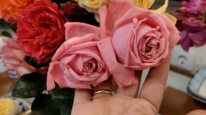 Роскошные розы для праздника