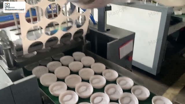 Как производят пластиковые крышки на термоформовочном станке MTF-004xM3 смотреть онлайн