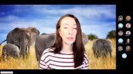 12_месяцев_Тема_2._Самые_яркие_способы_активации_архетипов (720p)