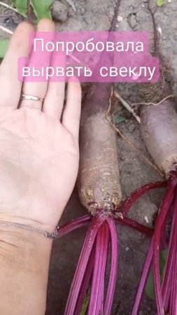 28 августа 2023 г.