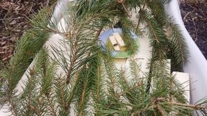 Холодно но пчелки идут за водой