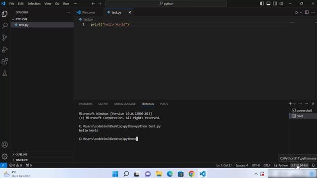 How to Add Python Interpreter in Visual Studio Code - Step By Step (2024)