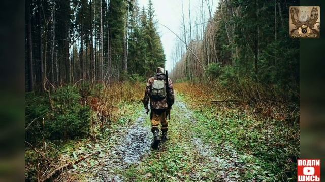 Зачехленное ружьё в лесу в не сроках охоты, Закон смотреть онлайн