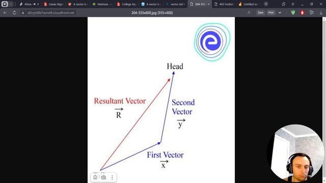 What is a Scalar in Linear Algebra? Applications with NumPy #mathematics #datascience #numpy