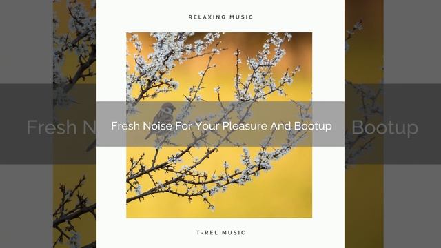 Fresh Noise For Your Pleasure And Fast Getup смотреть онлайн