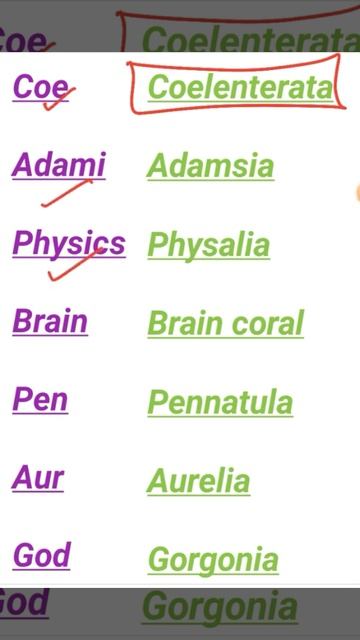 #BIOLOGY LEARNING TRICKS #NEET #AIIMS ANIMAL KINGDOM LEARNING TRICKS SIMPLE AND FUNNY💯🔥🔥 #Class 11