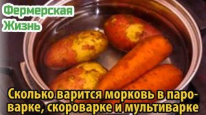 Сколько варится морковь в пароварке, скороварке и мультиварке