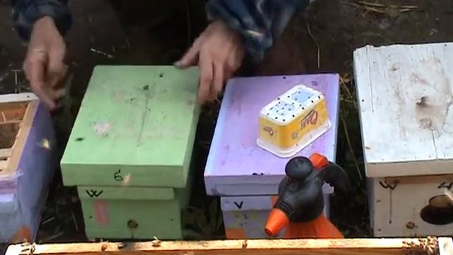 Заселяю нуклеусы 04 05 2019 смотреть онлайн