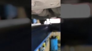 1000151619.mp4