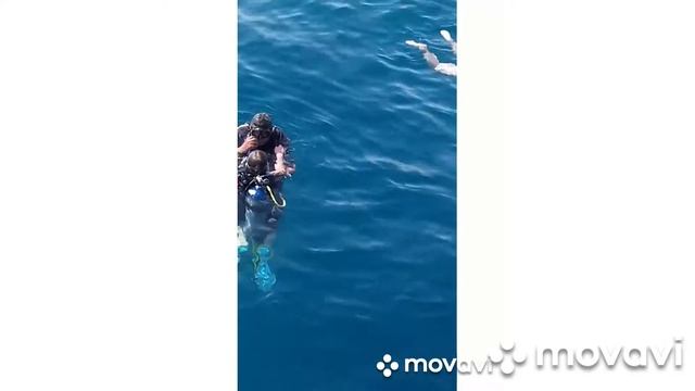 Египет.день пятый.9 марта 2021 смотреть онлайн