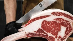 Ножи Icel для мяса,рыбы,овощей,поварские ножи производство Португалия