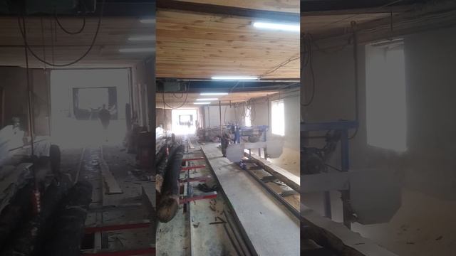 распиловка горелого леса смотреть онлайн