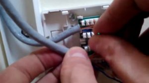 Кроссировка розетки RJ-45 по схеме B