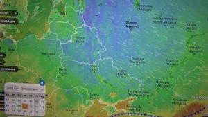 Реанимация яблони с цитоспорозом. Обрезка груш. И вновь заморозки!!!