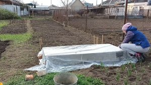 Дом на юге/ Посеяли редиску./ УБОРКА В доме.