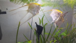Ну, вот и еще одна неделя прошла. Адаптируюсь. У нас мороз.