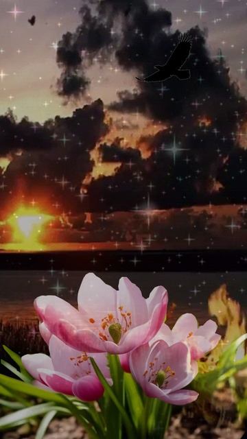 Весна.mp4 смотреть онлайн