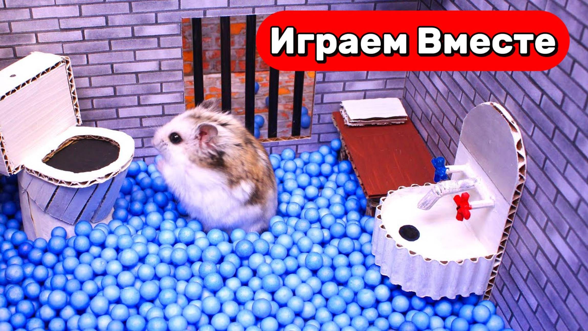 Лабиринт для Хомяка 🐹 ПОБЕГ Умного Хомяка из НОВОЙ СЕКРЕТНОЙ ТЮРЬМЫ С ЛОВУШКАМИ ! Видео для детей