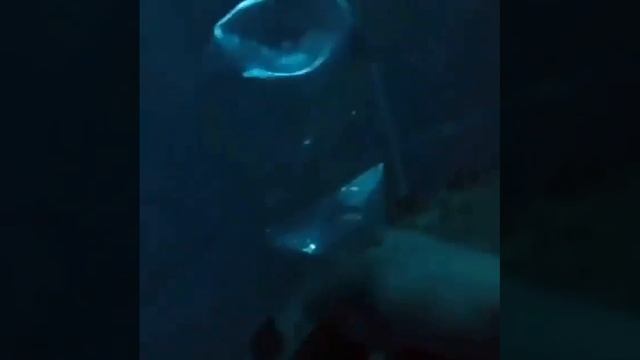 Давление смотреть онлайн