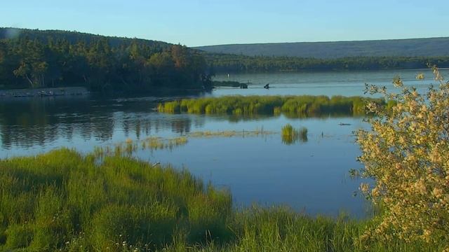 River Watch Bear Cam 07-06-2018 22:14:58 - 22:43:37 смотреть онлайн