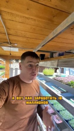Как заработать на гелик