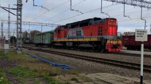 Железная дорога. Тепловоз ТЭМ14-0081.