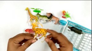 Animals Unboxing | Animals Toys Collection for Kids Giraffe, Tiger, Lion, Kangaroo, Deer, Cat....13