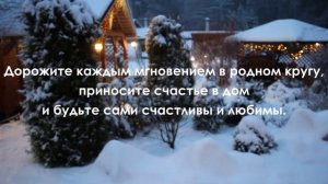 Декабрьские зарисовки в саду. Поздравляю с Наступающим!!!