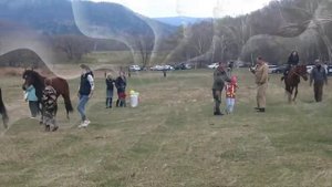 Как быстро переодеть лошадь. ПЕРВЫЙ КОННЫЙ СЛЁТ.