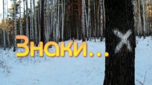 Урал. Кресты на деревьях. Верхняя Пышма.