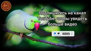 Утренние Дуа , Дуа на каждый день