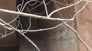 Чернобыль 19.07.2013 г. 5-6 энергоблок