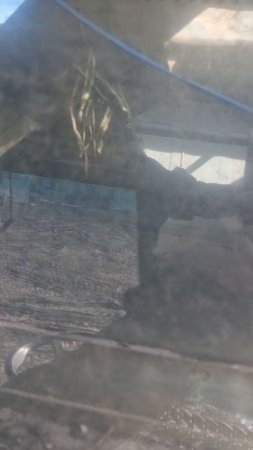 9ae0c377-4c9c-4c04-9f0d-6b0df0611851
Охота на Кабана
