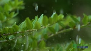 Group of Companies Fleksom