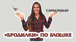 наши БРОДИЛКИ-покупки по БЛОШКЕ - экскурсия в г.Краснодар