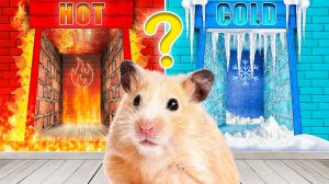 ГОРЯЧИЙ VS ХОЛОДНЫЙ ЛАБИРИНТ | ПРИКЛЮЧЕНИЯ ХОМЯЧКА В ЛАБИРИНТЕ