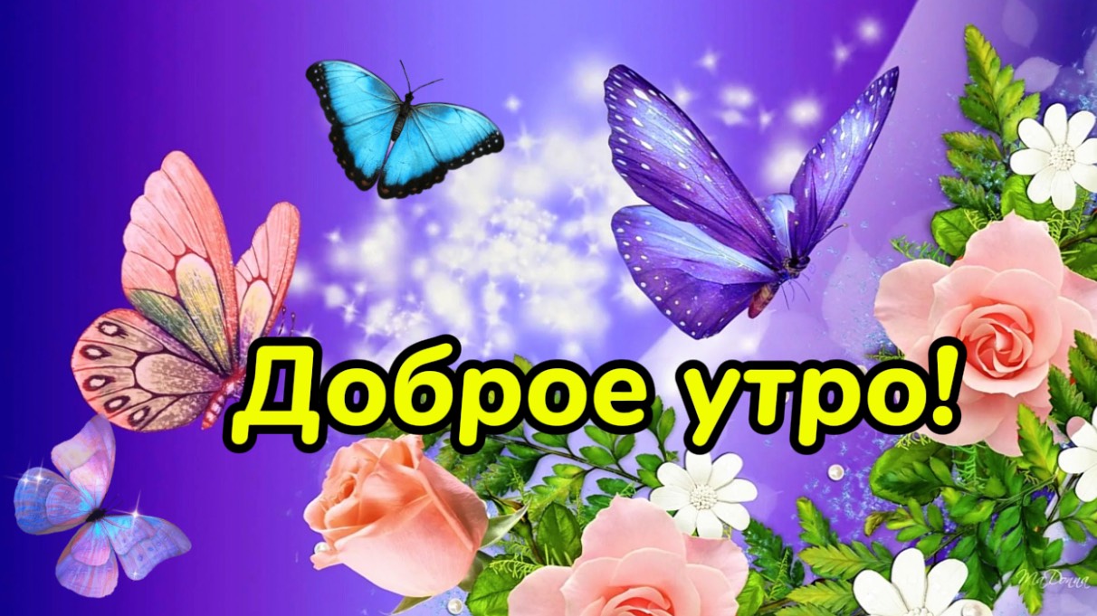 Доброе утро! Мир стал чуть теплей