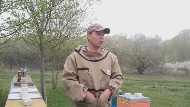 Когда и как расширять гнезда пчёл