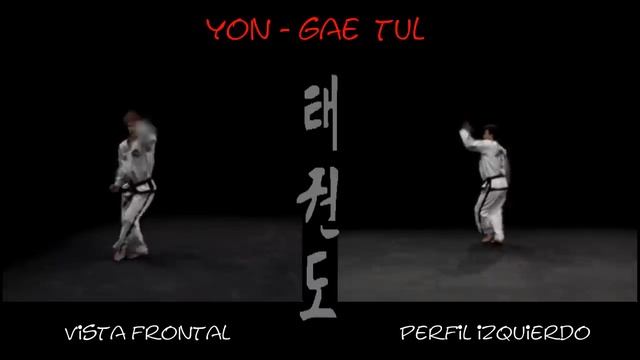 4 Дан 19 C Черный пояс 4 й дан Туль Йон Ге тхэквондо taekwondo таэквондо хьенг комплекс смотреть онлайн